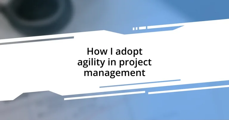 How I adopt agility in project management