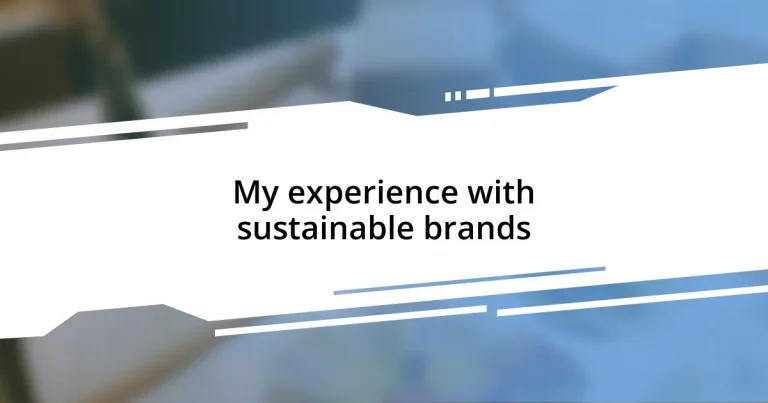 My experience with sustainable brands