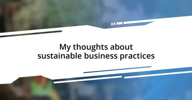 My thoughts about sustainable business practices