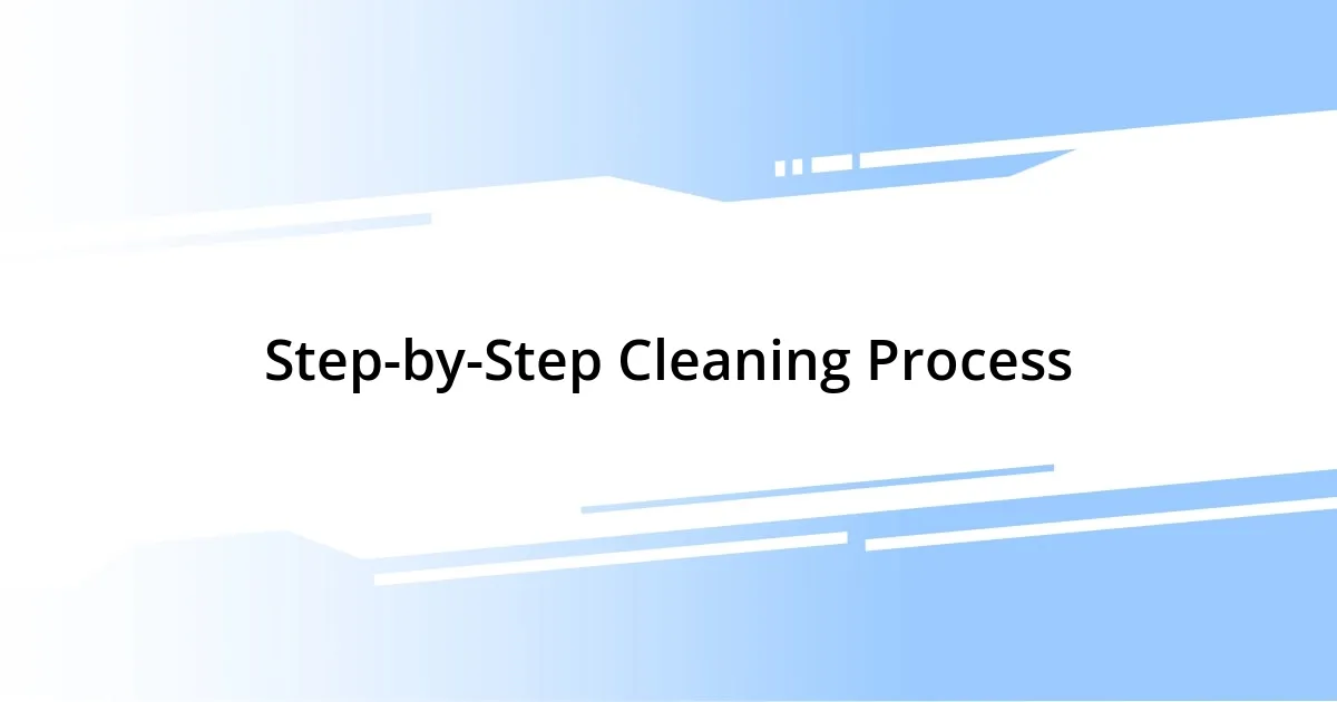 Step-by-Step Cleaning Process