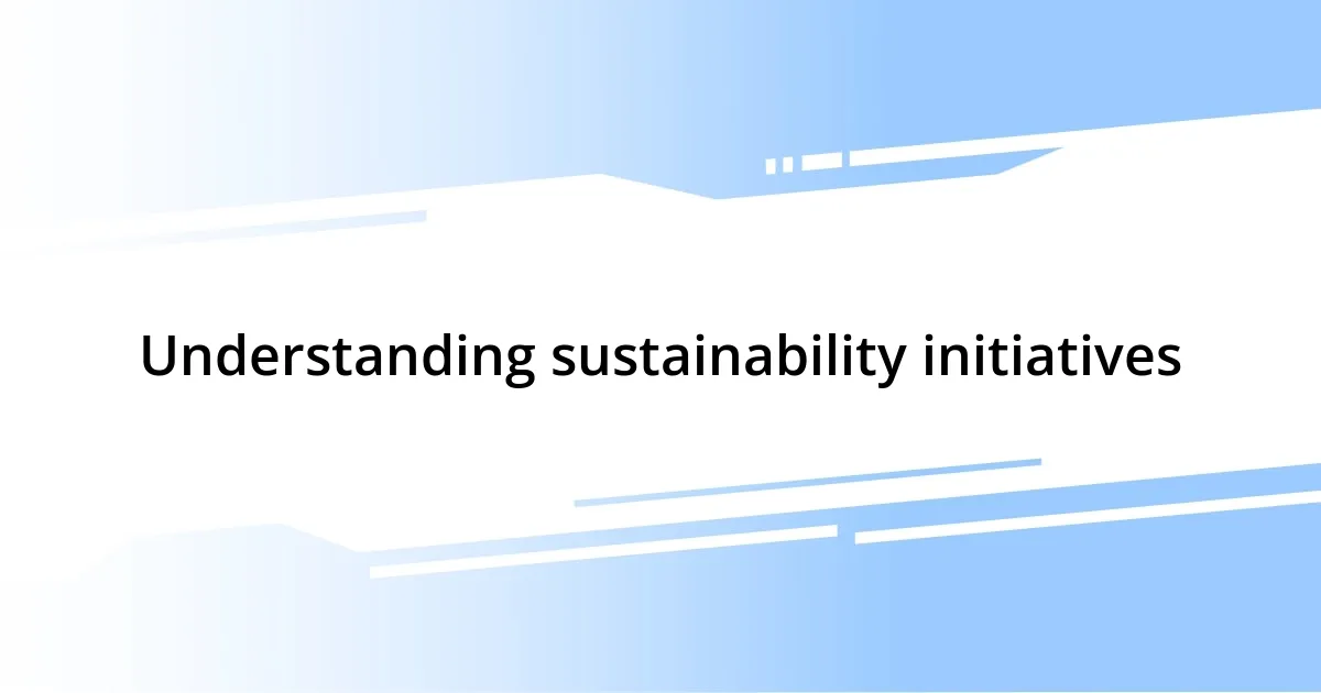 Understanding sustainability initiatives